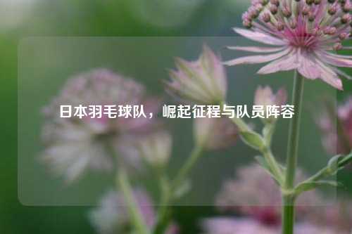 日本羽毛球队,崛起征程与队员阵容