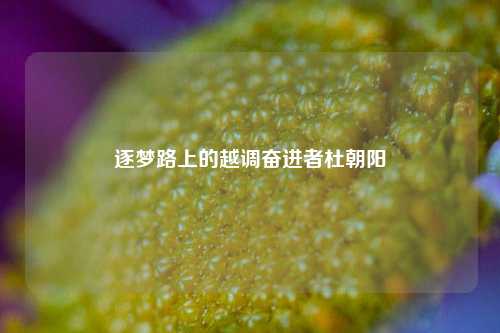 逐梦路上的越调奋进者杜朝阳