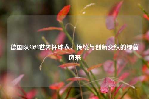 德国队2022世界杯球衣,传统与创新交织的绿茵风采