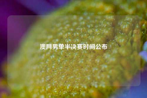 澳网男单半决赛时间公布