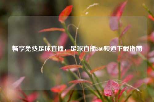 畅享免费足球直播,足球直播360频道下载指南