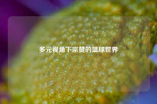 多元视角下宗赞的篮球世界