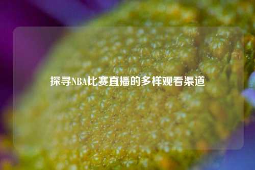 探寻NBA比赛直播的多样观看渠道