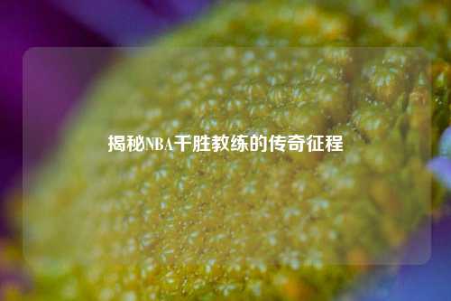 揭秘NBA千胜教练的传奇征程