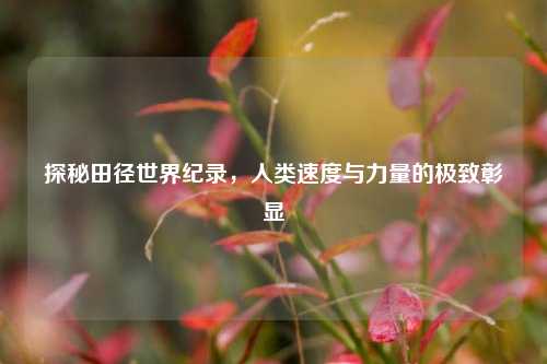 探秘田径世界纪录,人类速度与力量的极致彰显