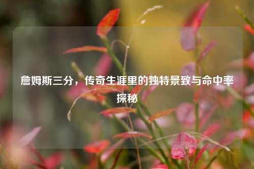 詹姆斯三分,传奇生涯里的独特景致与命中率探秘