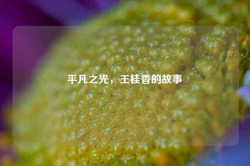 平凡之光,王桂香的故事