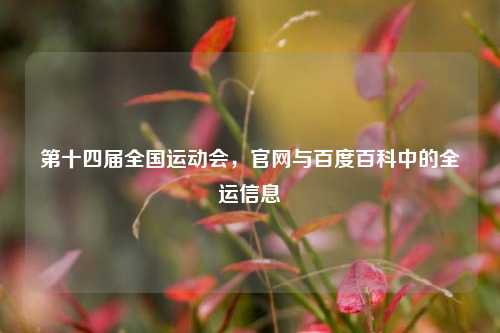 第十四届全国运动会,官网与百度百科中的全运信息