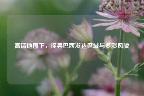 高清地图下,探寻巴西发达区域与多彩风貌