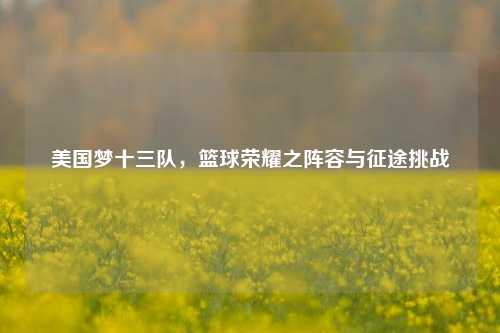 美国梦十三队,篮球荣耀之阵容与征途挑战