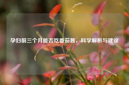 孕妇前三个月能否吃番茄酱,科学解析与建议