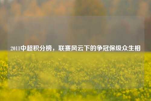 2011中超积分榜,联赛风云下的争冠保级众生相