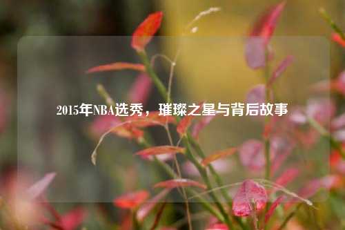 2015年NBA选秀,璀璨之星与背后故事