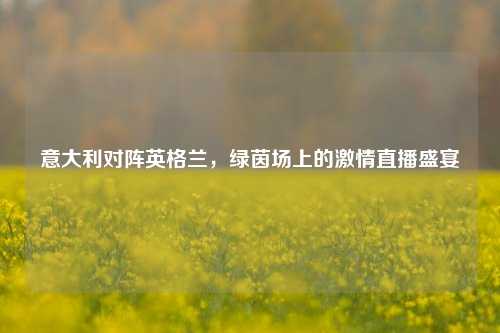 意大利对阵英格兰,绿茵场上的 直播盛宴