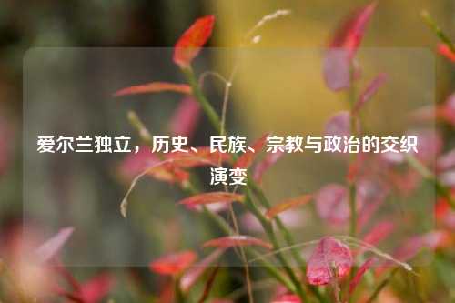 爱尔兰独立,历史、民族、宗教与政治的交织演变