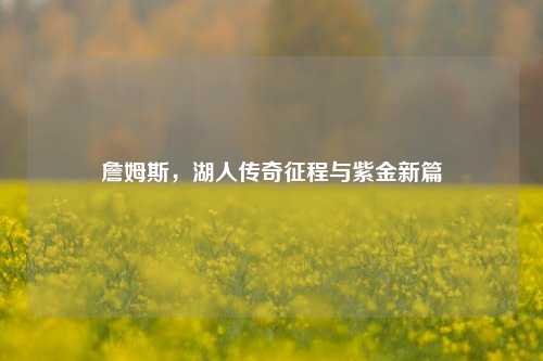 詹姆斯,湖人传奇征程与紫金新篇