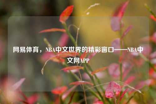 网易体育,NBA中文世界的精彩窗口——NBA中文网APP