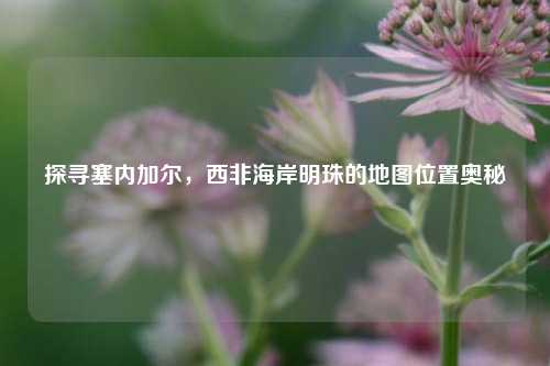 探寻塞内加尔,西非海岸明珠的地图位置奥秘