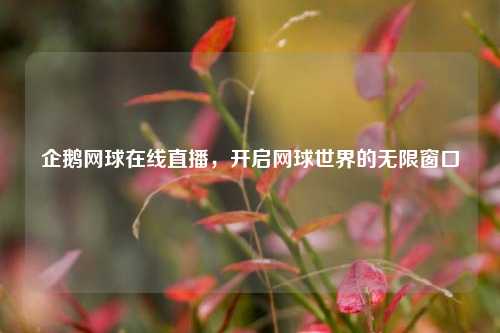 企鹅网球在线直播,开启网球世界的无限窗口