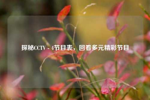 探秘CCTV - 4节目表,回看多元精彩节目