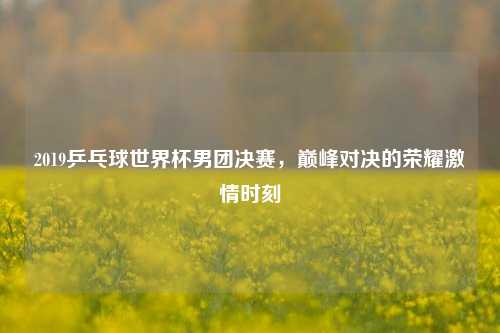 2019乒乓球世界杯男团决赛,巅峰对决的荣耀 时刻