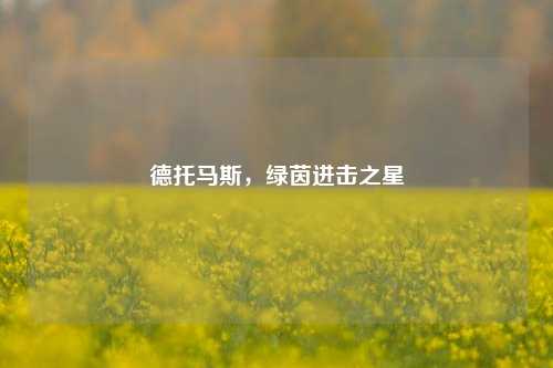 德托马斯,绿茵进击之星