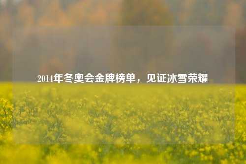 2014年冬奥会金牌榜单,见证冰雪荣耀