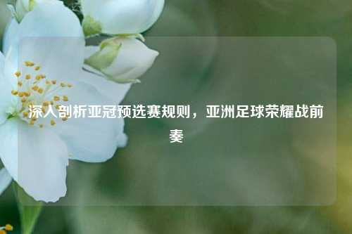 深入剖析亚冠预选赛规则,亚洲足球荣耀战前奏