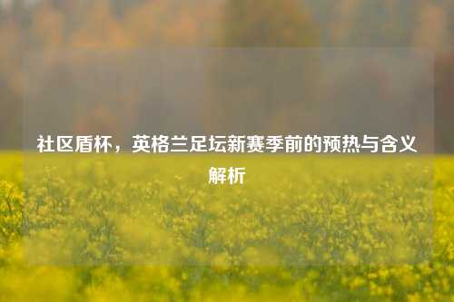 社区盾杯,英格兰足坛新赛季前的预热与含义解析