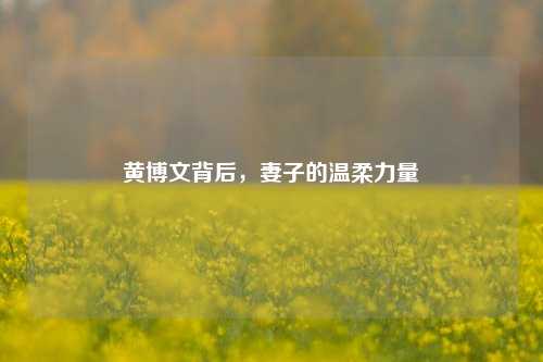 黄博文背后,妻子的温柔力量