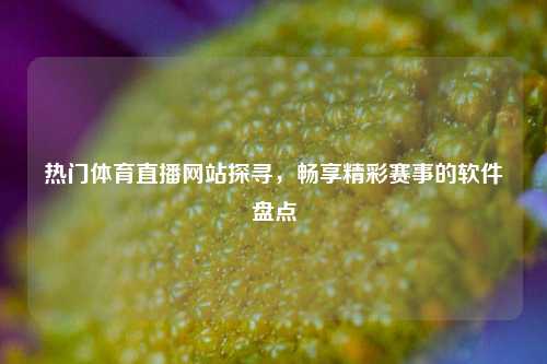 热门体育直播网站探寻,畅享精彩赛事的软件盘点