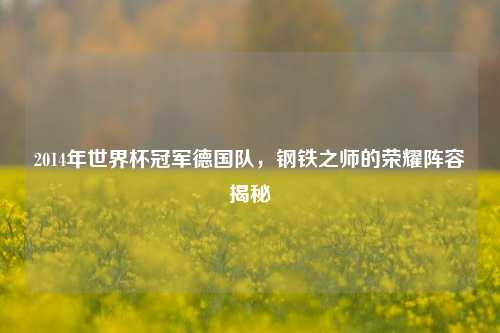 2014年世界杯冠军德国队,钢铁之师的荣耀阵容揭秘
