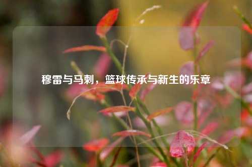 穆雷与马刺,篮球传承与新生的乐章