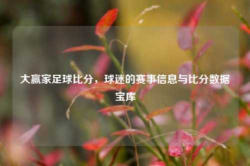 大赢家足球比分,球迷的赛事信息与比分数据宝库