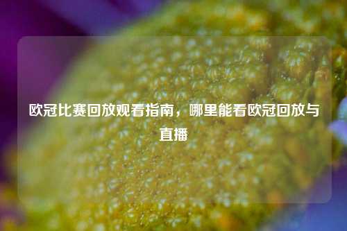 欧冠比赛回放观看指南,哪里能看欧冠回放与直播
