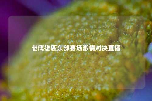 老鹰雄鹿东部赛场 对决直播