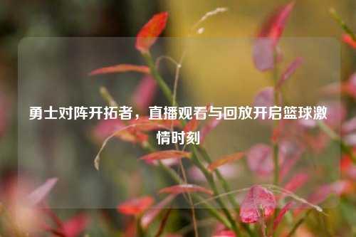 勇士对阵开拓者,直播观看与回放开启篮球 时刻