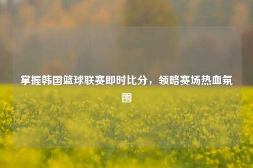 掌握韩国篮球联赛即时比分,领略赛场热血氛围