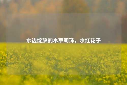 水边绽放的本草明珠,水红花子