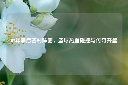 07年季后赛对阵图,篮球热血碰撞与传奇开篇