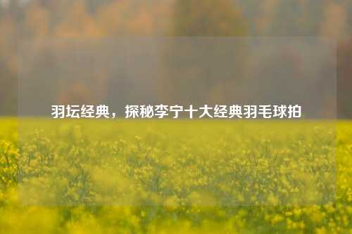 羽坛经典,探秘李宁十大经典羽毛球拍