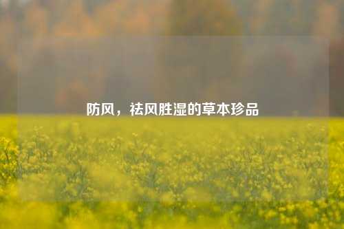 防风,祛风胜湿的草本珍品