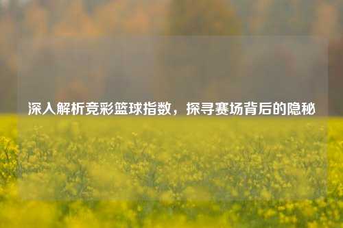 深入解析竞彩篮球指数,探寻赛场背后的隐秘