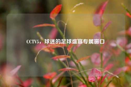 CCTV5,球迷的足球盛宴专属窗口