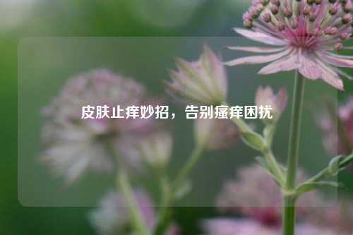 皮肤止痒妙招,告别瘙痒困扰