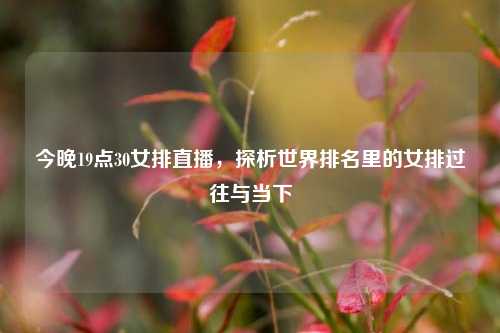 今晚19点30女排直播,探析世界排名里的女排过往与当下