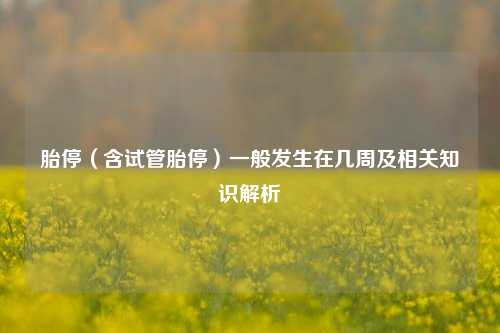 胎停(含试管胎停)一般发生在几周及相关知识解析
