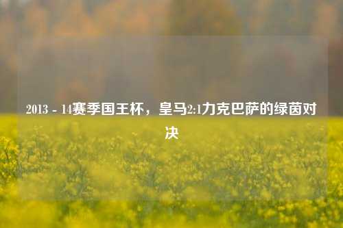 2013 - 14赛季国王杯,皇马2:1力克巴萨的绿茵对决