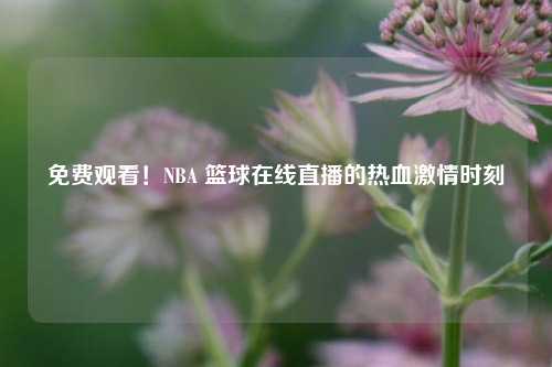 免费观看!NBA 篮球在线直播的热血 时刻