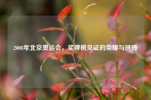 2008年北京奥运会,奖牌榜见证的荣耀与拼搏